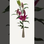 #NFT #ART #FLOWER #opensea #openseanft #nftcommunity #nftartist #nftgame