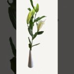 #NFT #ART #FLOWER #opensea #openseanft #openseaart #nfts #nftcommunity #nftgame #3d #3dart #bitcoin