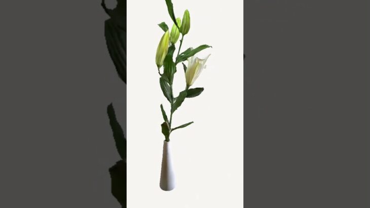 #NFT #ART #FLOWER #opensea #openseanft #openseaart #nfts #nftcommunity #nftgame #3d #3dart #bitcoin