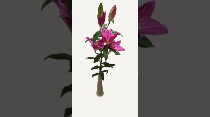 #NFT #ART #flower #nftartist #nftcommunity #nftgame #opensea #openseanft #3d #3dart