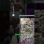 NFT Crash  The Death of Digital Collectibles Explained