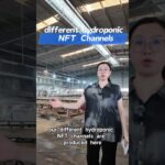NFT hydroponic gutters