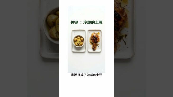 [No3. 白头佬的工具箱：米饭的平替] #糖尿病饮食 #餐后血糖 #Hba1c #白头佬Silas