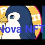 Nova NFT 🚀🤔ki mitting vairl video blog trading govind singh Sisodiya