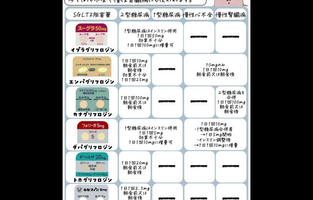 【糖尿病治療薬】SGLT２阻害薬＃糖尿病治療薬