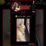 رياكشن القطة بتضحك 😂 #blackpink #اكسبلور #games #twice #اهميه #nft #ترند