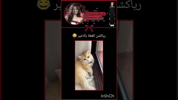 رياكشن القطة بتضحك 😂 #blackpink #اكسبلور #games #twice #اهميه #nft #ترند