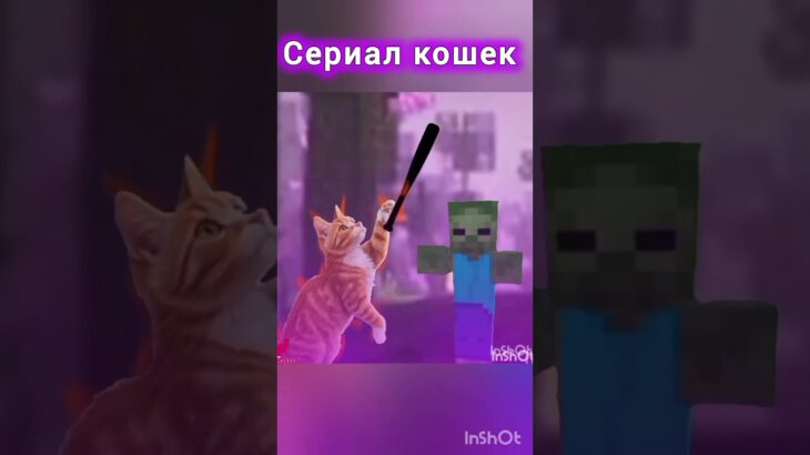 #моякошка #умаляюзалети #nft 🙏🙏🙏🙏🙏✨✨✨✨✨