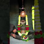om namo sivayya   #shiva #ammu sivayya #amana #lifeisbutadream #answer #nft