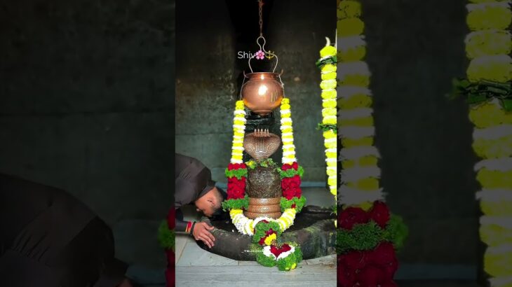 om namo sivayya   #shiva #ammu sivayya #amana #lifeisbutadream #answer #nft
