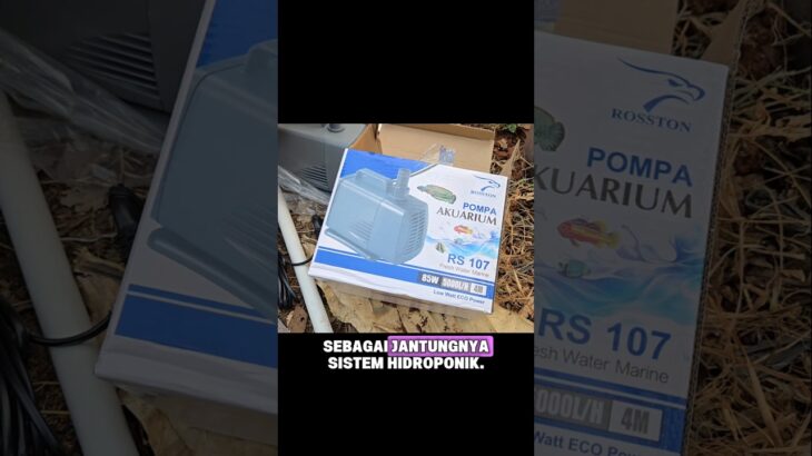 pompa untuk hidroponik nft 12 meter