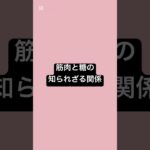 筋肉と糖の知られざる関係 #薬剤師 #薬 #健康 #糖尿病 #筋肉 #筋トレ #血糖値 ￼