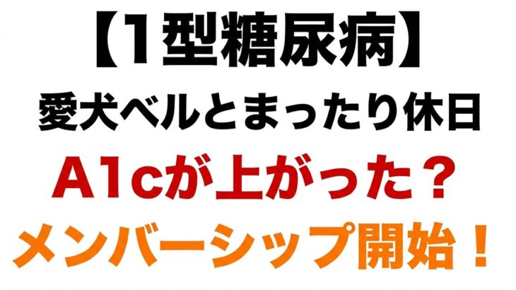 【１型糖尿病】愛犬ベルとまったり休日＆メンバーシップのお知らせ