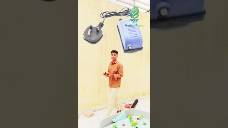 لو بتفكر تبدأ في الزراعة المائية، اختيار النظام الصح هو أهم خطوة لنجاح مشروعك!