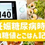 妊娠糖尿病時の、血糖値とごはん記録　めざせ基準値内！