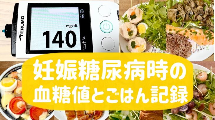 妊娠糖尿病時の、血糖値とごはん記録　めざせ基準値内！