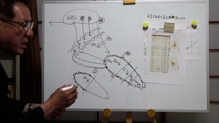 糖尿病をこうして解決した・動画解説