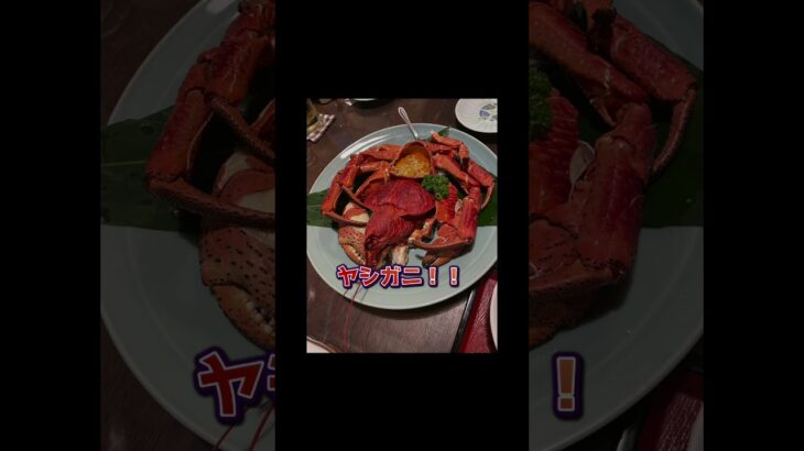 #高血圧　#糖尿病　#沖縄　#ハレクラニ　#ヤシガニ