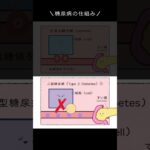 ＼糖尿病のメカニズム／ #解剖生理学