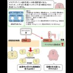 【糖尿病治療薬】チアゾリジン薬＃糖尿病治療薬