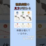糖尿病猫は同じじゃない