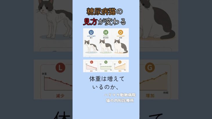 糖尿病猫は同じじゃない