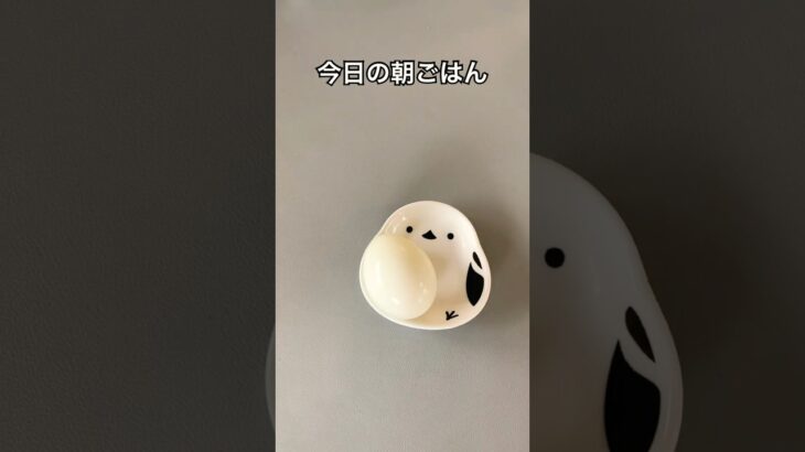 糖尿病家系サラブレッド主婦｜今日の朝ごはん