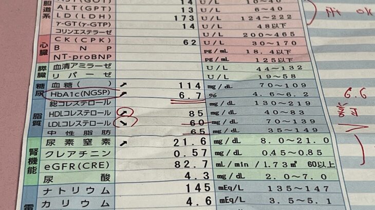【おでぶ❣️糖尿病の採血の結果】おしゃべりライブ😘💖