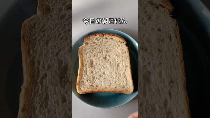 糖尿病家系サラブレッド主婦｜今日の朝ごはん