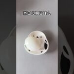 糖尿病家系サラブレッド主婦｜朝ごはん記録