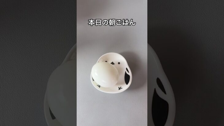 糖尿病家系サラブレッド主婦｜朝ごはん記録