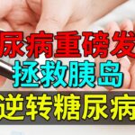 最新突破！中国糖尿病重磅发现，拯救胰岛逆转糖尿病，美国医生上门求教【养生堂】