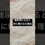 糖尿病になるとように糖が出る理由 #薬剤師 #薬 #糖尿病 #血糖値 #砂糖依存 #健康 #健康￼リテラシー