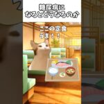 糖尿病になるとどうなるのか？ #猫 #猫ミーム#糖尿病 #健康