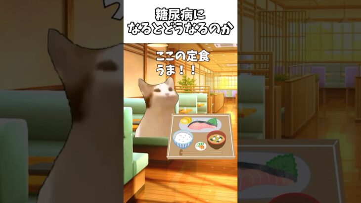 糖尿病になるとどうなるのか？ #猫 #猫ミーム#糖尿病 #健康