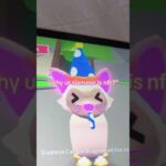 why ur siamese is nft? 😔