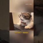 爸妈有高血压糖尿病的注意了#健康 #父母 #中老年 #健康福1