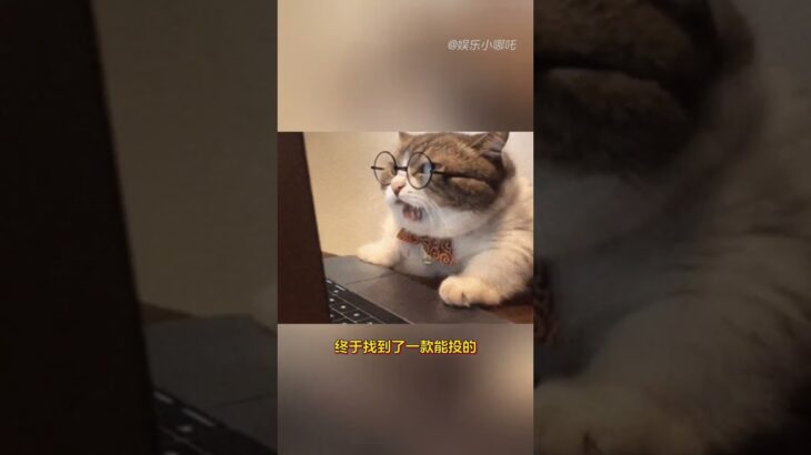 爸妈有高血压糖尿病的注意了#健康 #父母 #中老年 #健康福1