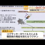 糖尿病予防ワクチン開発へ1000万円助成　佐賀大学が2029年完成目指し研究【佐賀県】 (26/07/07 16:50)