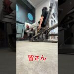 100日後に垢抜ける糖尿病患者DAY12#何故こうなった#淵野辺#淵野辺のまなてぃ#100日後に垢抜ける糖尿病患者#100日後