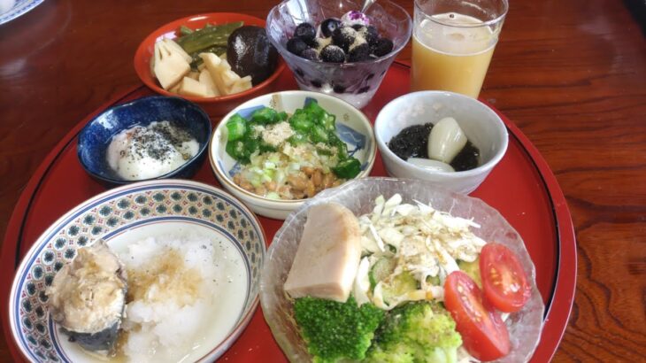 @朝昼晩の肥満糖尿病の改善とフレイルの予防をしたい献立＃1週間に1度のコープの宅配で作る食事＃自家野菜＃猫たちのいる暮らし