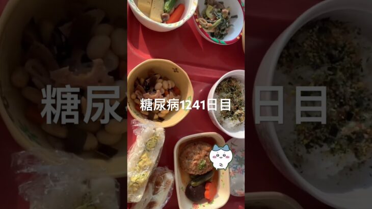 糖尿病になったハチワレな気分の食事記録1241日目