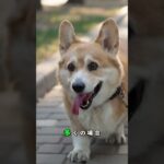 1日7000歩で糖尿病リスク激減！元気の秘密は細胞にあった