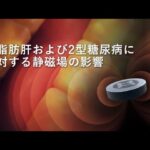 脂肪肝および2型糖尿病に対する静磁場の影響