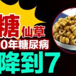 神奇降糖仙草，根除20年糖尿病，血糖从21降到7#健康大诊室