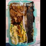 #糖尿病弁当#パパ弁当#時短20分#さばおかかのり弁当#牛カルビとズッキーニの焼肉弁当#shorts