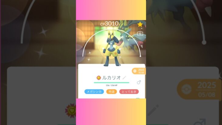 【39日目】メガルカリオつえー！ポケモンGOで糖尿病を治したい！！！(迫真)2026/07/02