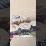 糖尿病の方にもオススメ！食べた満足感が味わえるデザート#糖尿病  #糖質制限 #がん治療 #乳がんステージ4