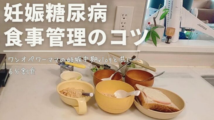 【妊娠糖尿病】食事管理のコツ/仕事育児と6分食vlog