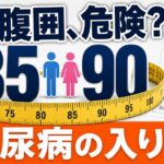 内臓脂肪は糖尿病の入り口？腹囲85cm・90cmの意味を専門医が解説【健康診断】